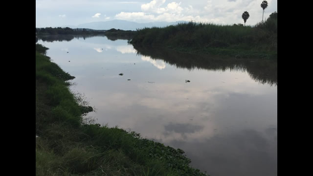 Río Santiago, atraviesa malecón-corredor Juanacatlán
